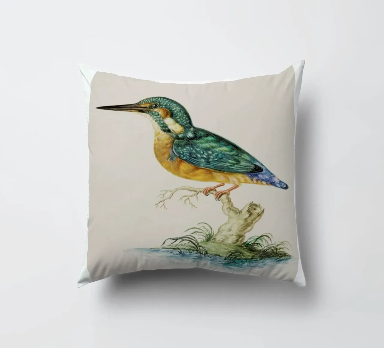 Johann Ludwig Morgenstern - Kingfisher cuscino da ARTOTHEK