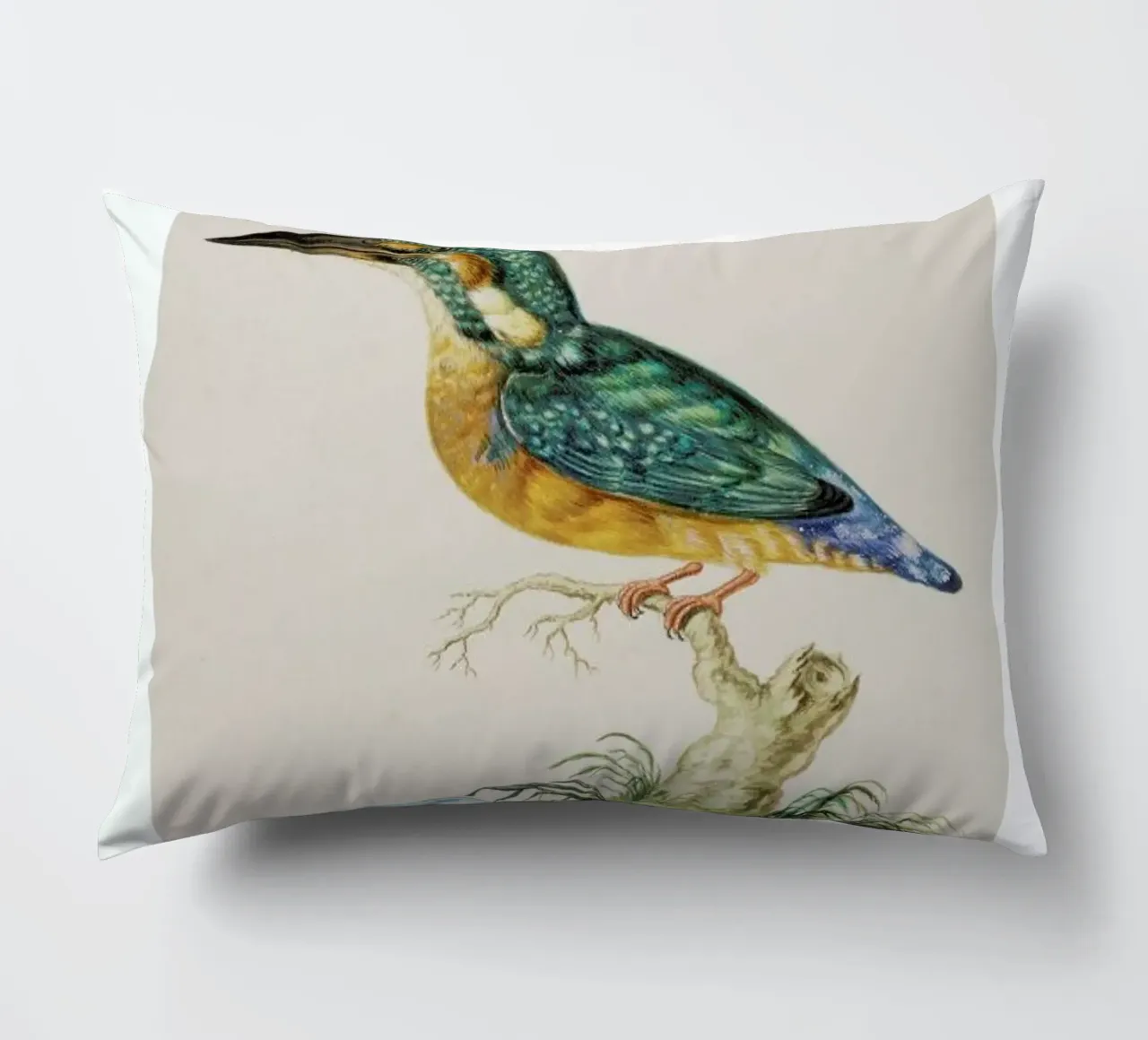 Johann Ludwig Morgenstern - Kingfisher cuscino da ARTOTHEK