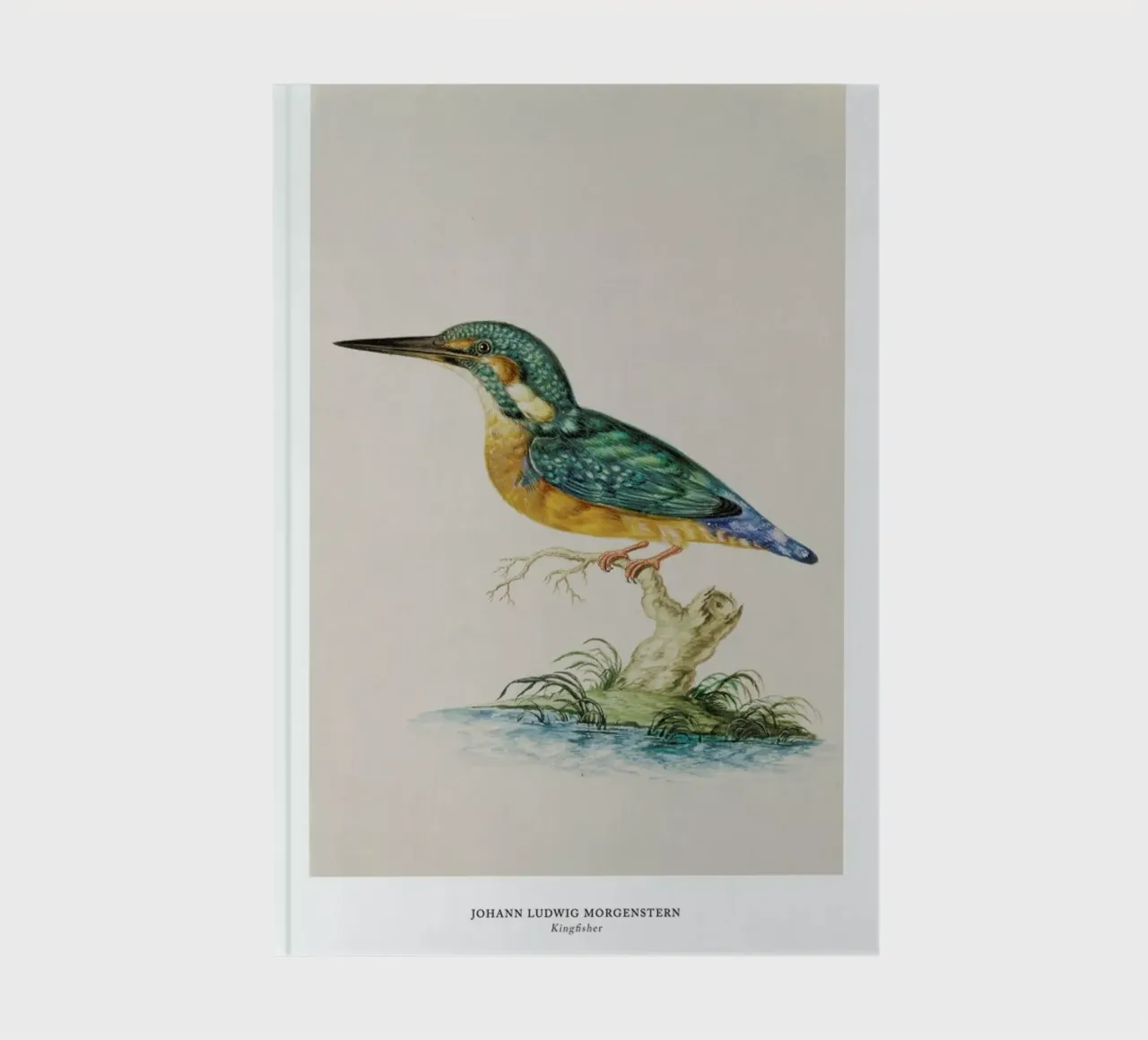 Johann Ludwig Morgenstern - Kingfisher notebook by ARTOTHEK