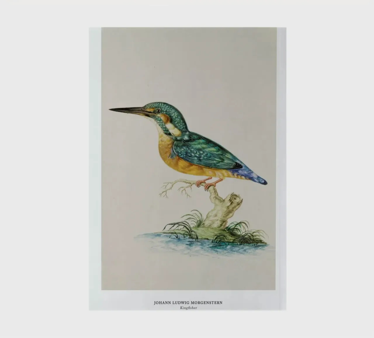 Johann Ludwig Morgenstern - Kingfisher notebook by ARTOTHEK