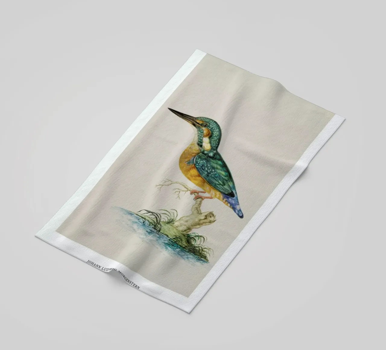 Johann Ludwig Morgenstern - Kingfisher telo mare da ARTOTHEK