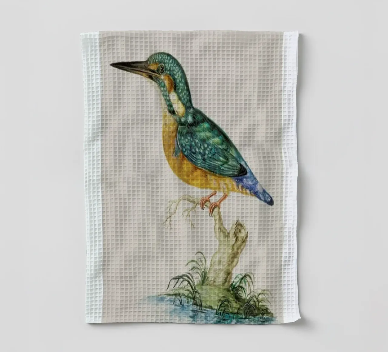 Johann Ludwig Morgenstern - Kingfisher canovaccio da cucina da ARTOTHEK