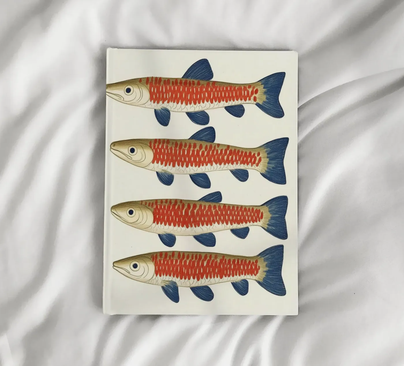 Four fish notebook by Curious Canvas