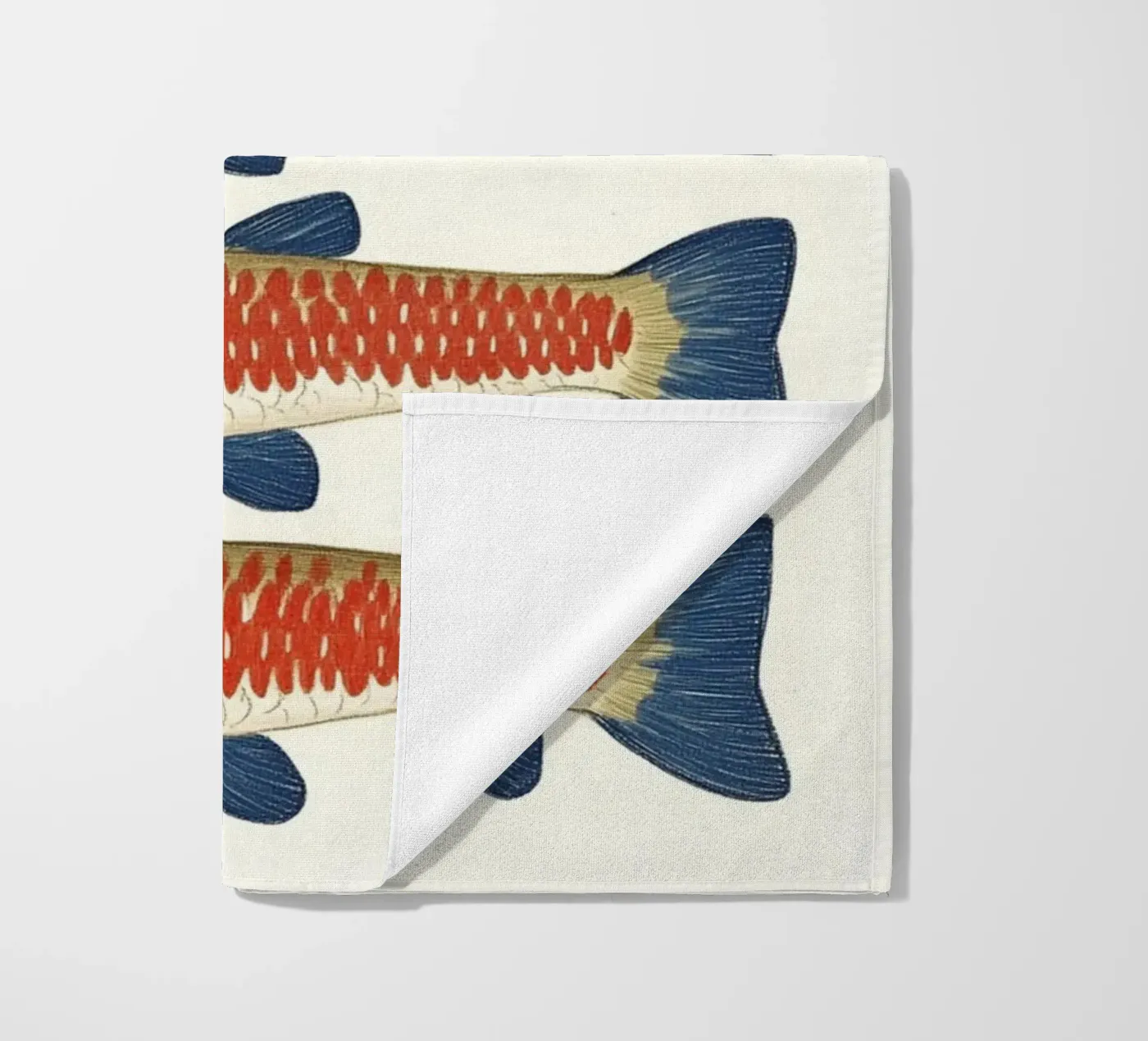 Quattro pesci telo mare da Curious Canvas