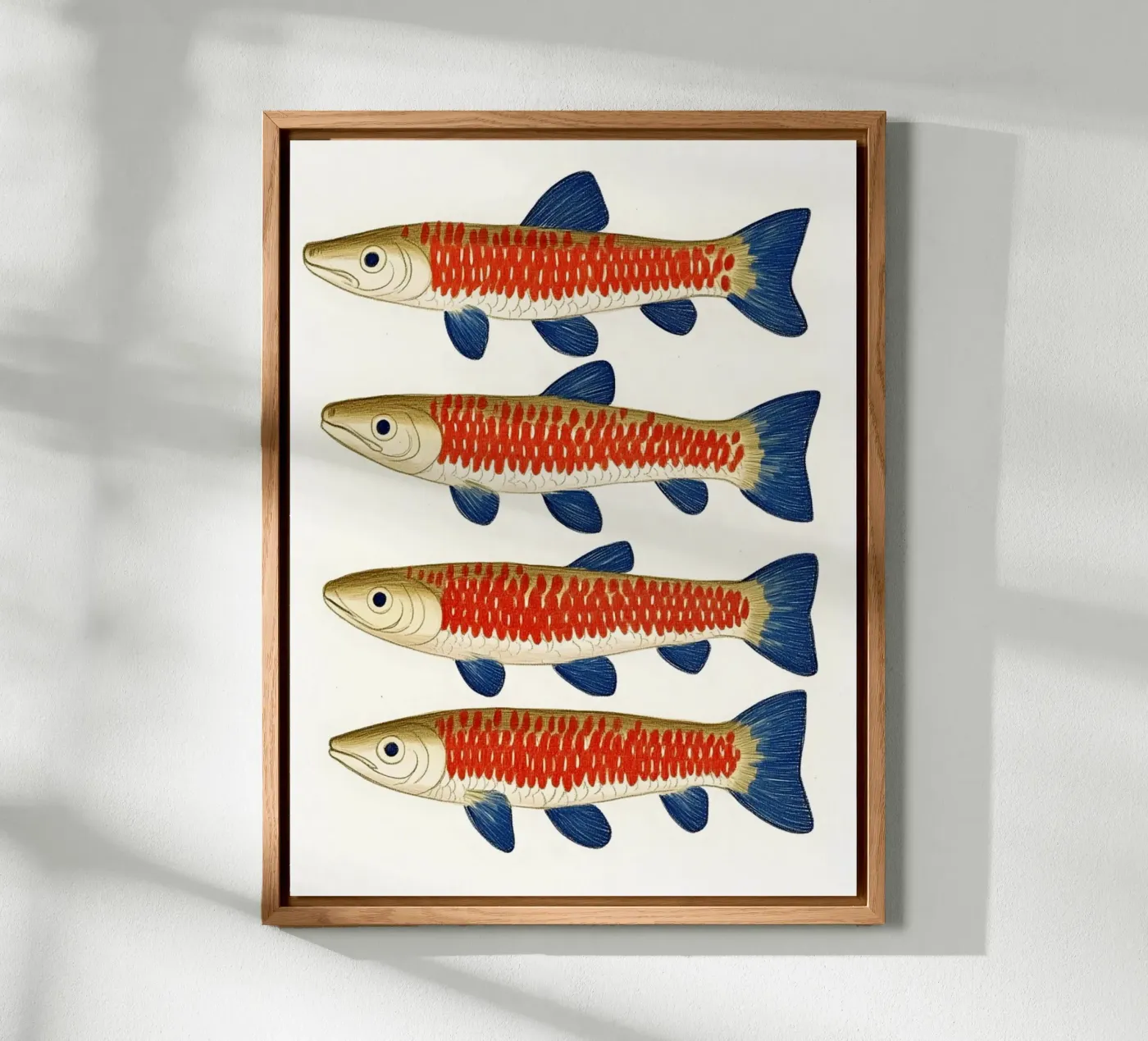 Quattro pesci pannello forex da Curious Canvas