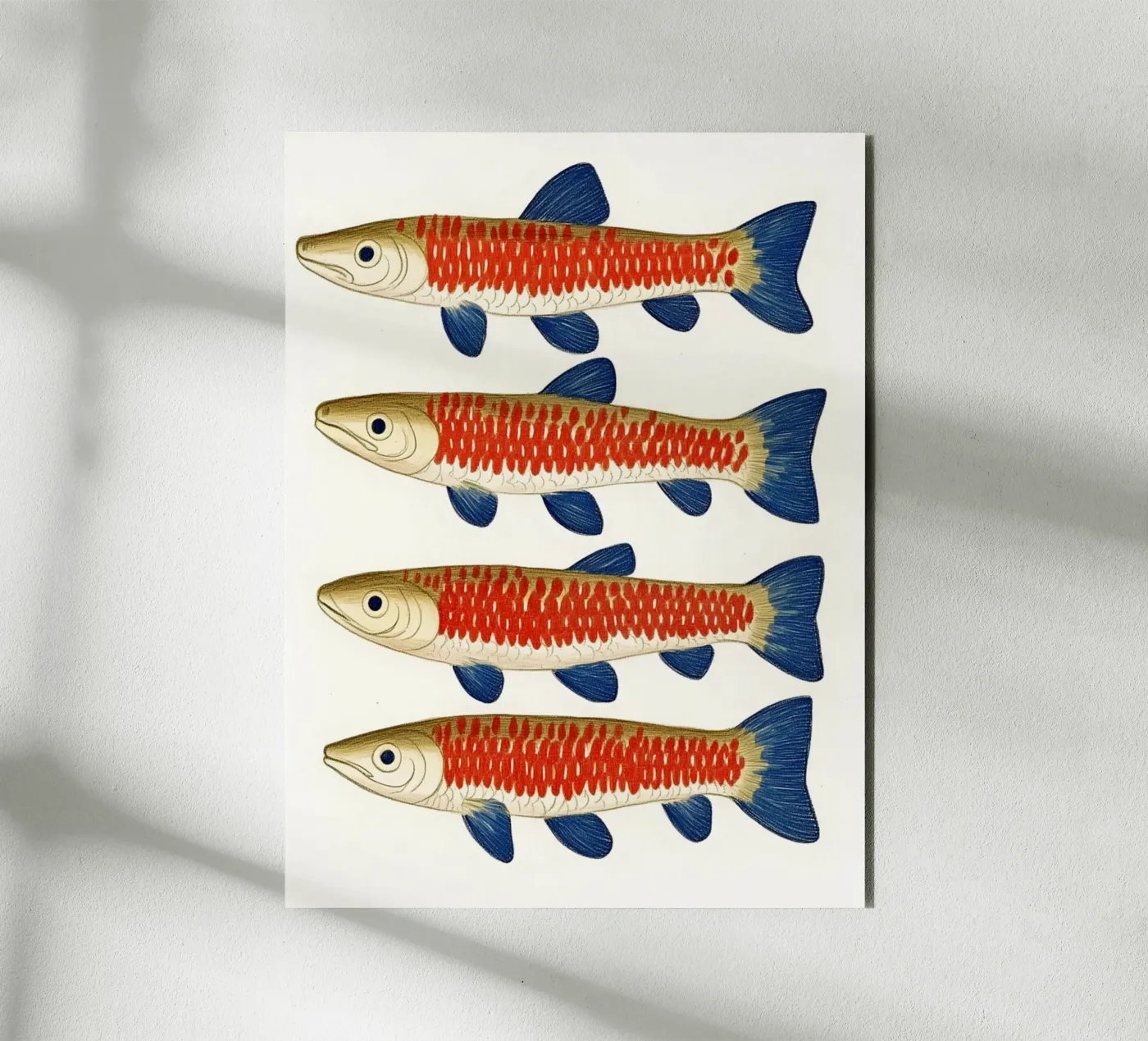 Quattro pesci pannello forex da Curious Canvas