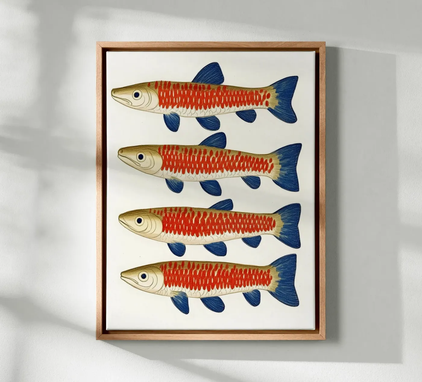 Vier vissen canvas van Curious Canvas