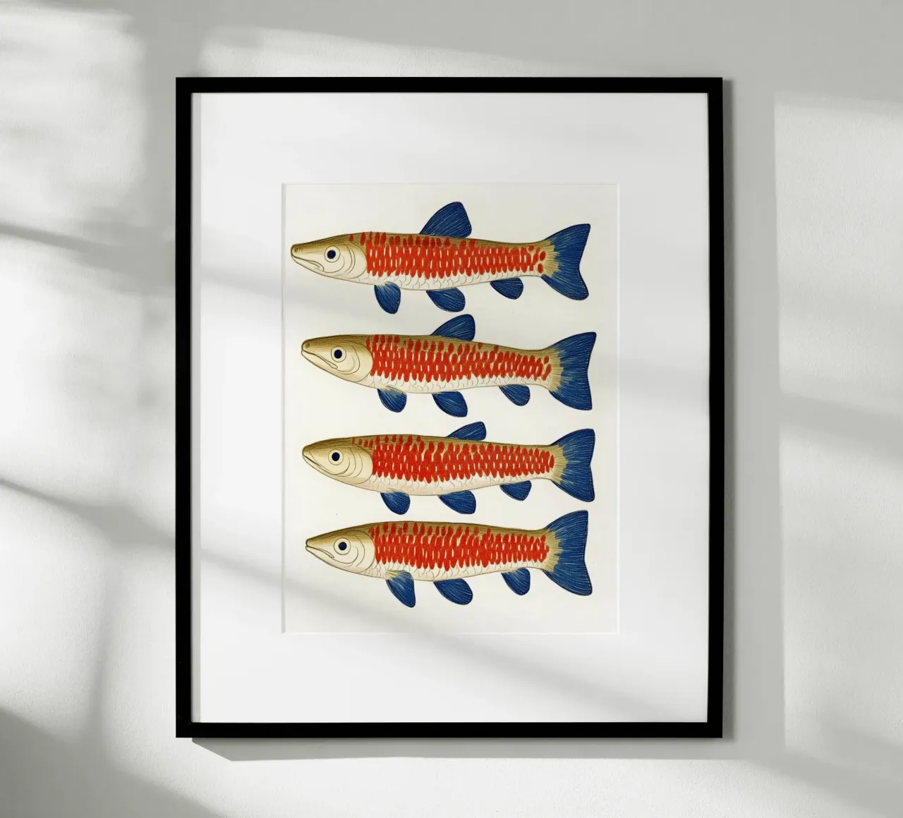 Quattro pesci poster con telaio in legno da Curious Canvas