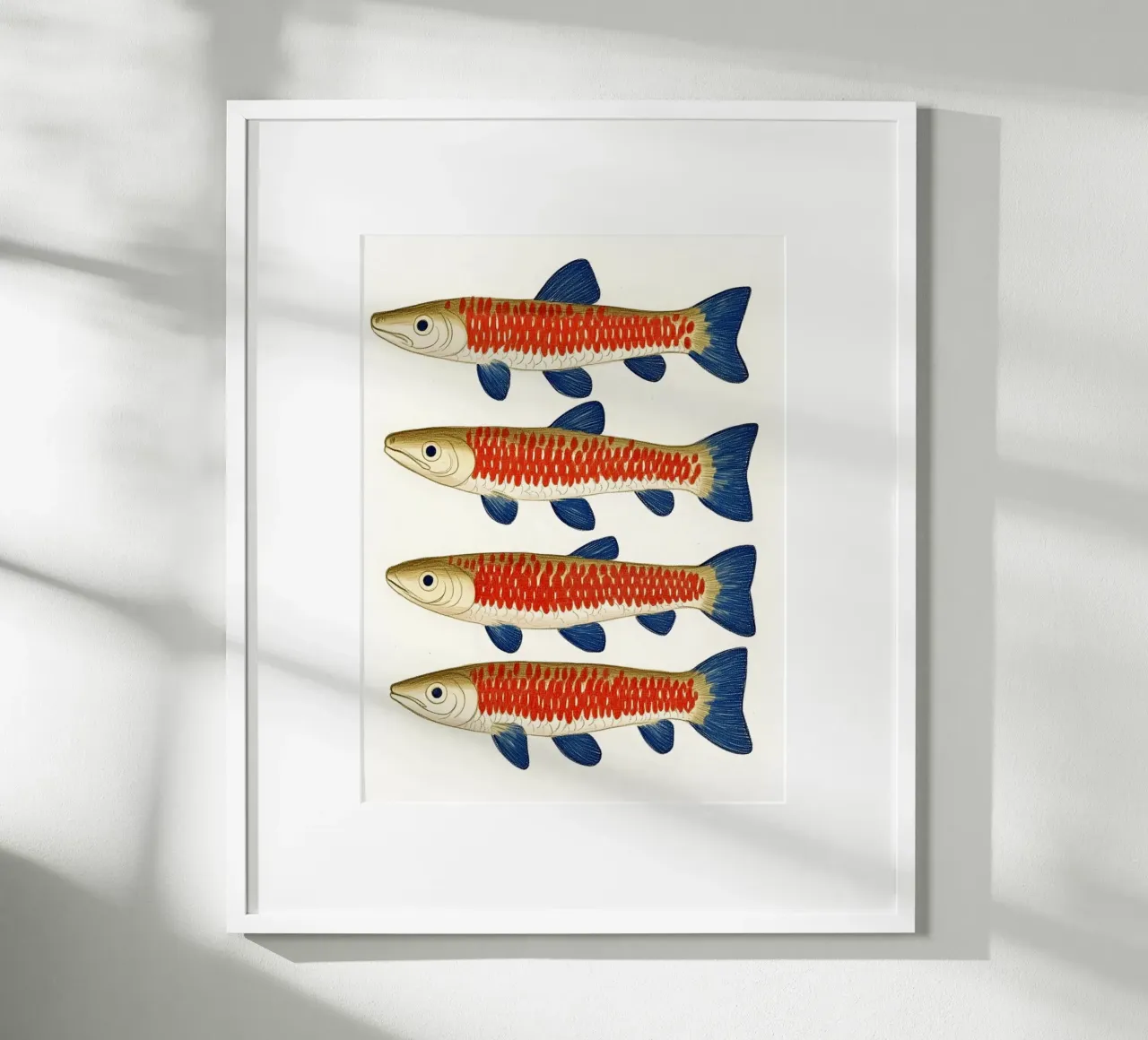 Quattro pesci poster con telaio in legno da Curious Canvas