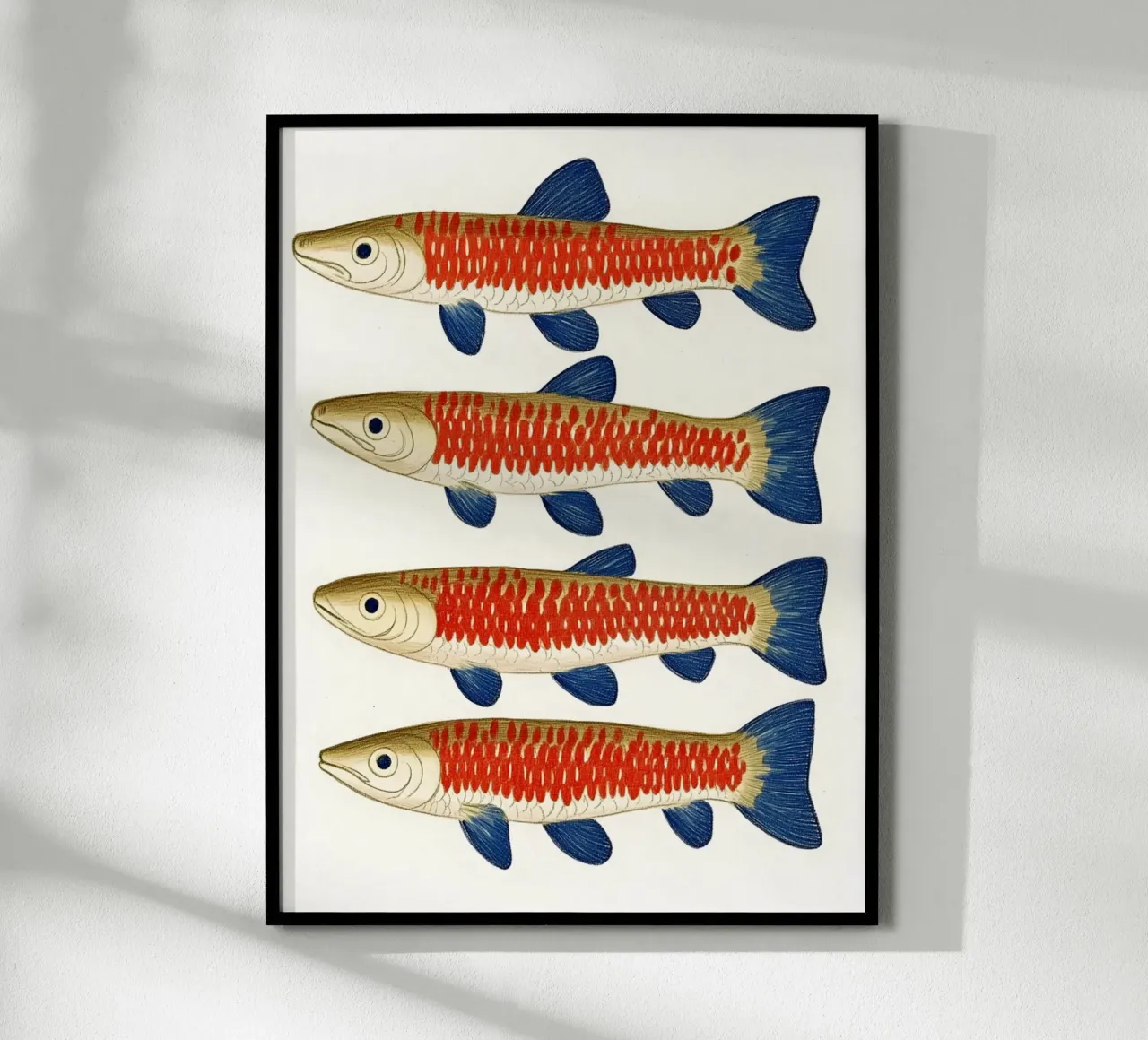 Quattro pesci poster con telaio in legno da Curious Canvas