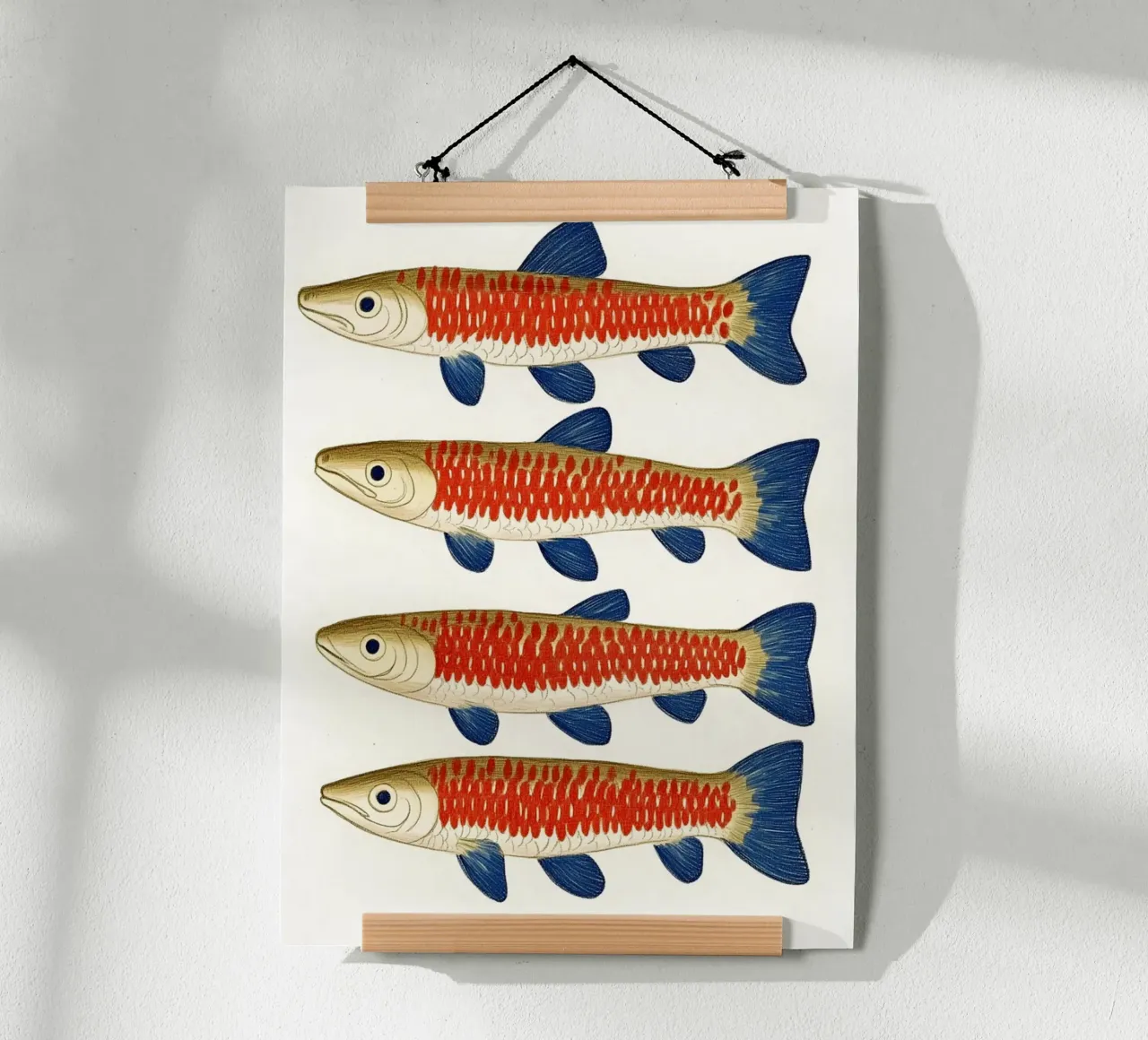 Quattro pesci poster con telaio in legno da Curious Canvas