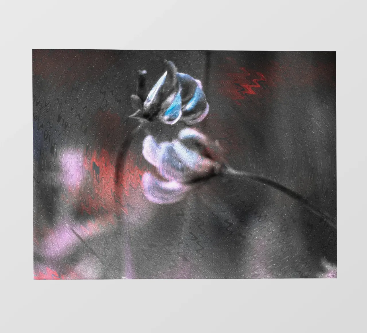 Due piccoli fiori davanti a uno sfondo artistico pellicola backlit da Something for you