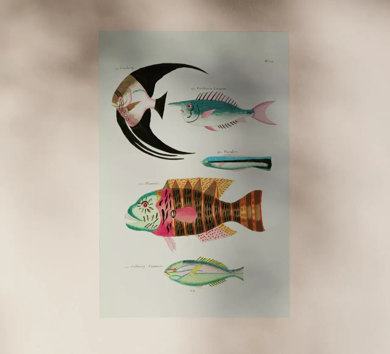 Renard - Colourful and Surreal Illustrations of Fish pellicola backlit da Vintage by JUNIQE
