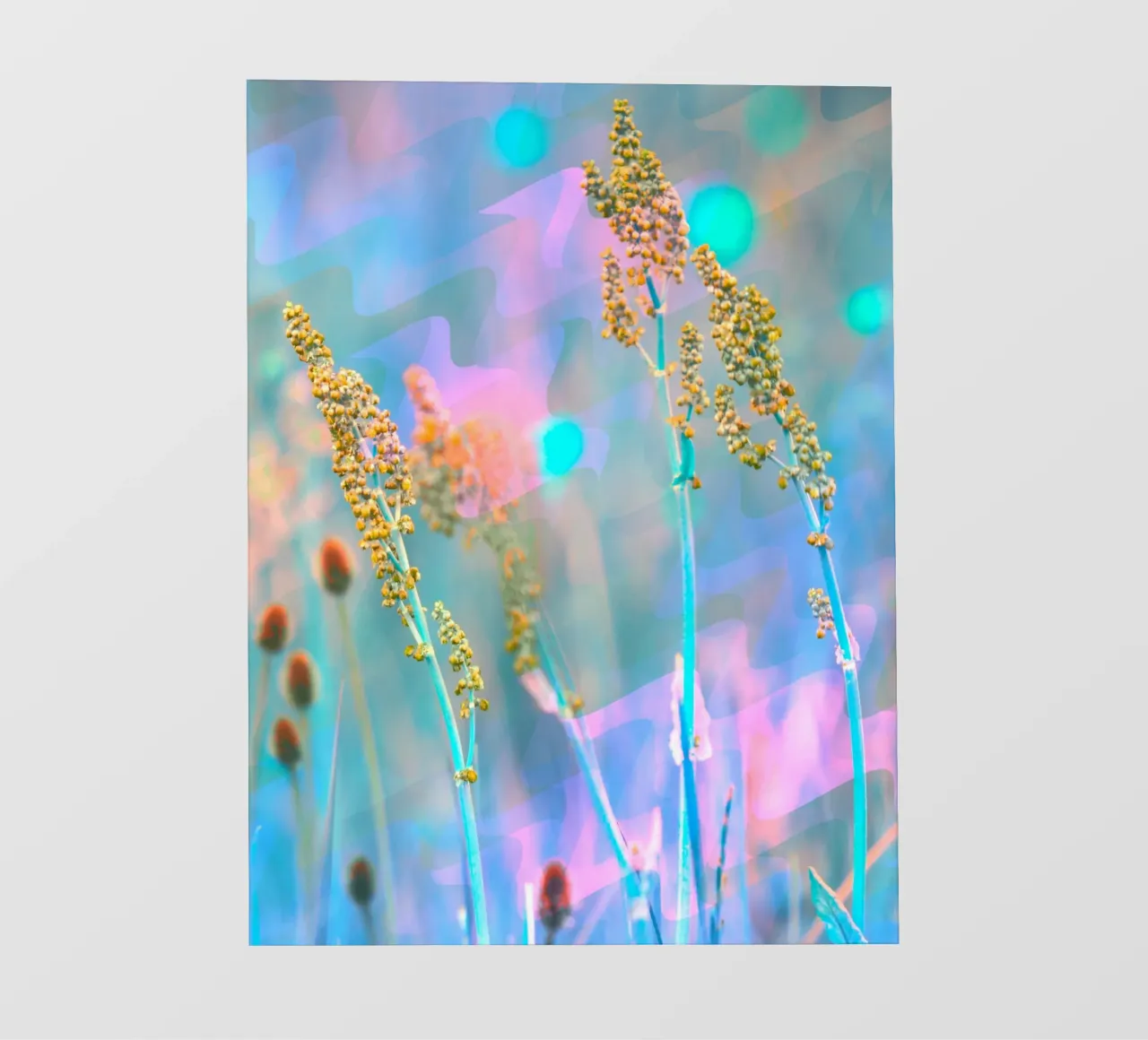 Due fiori di campo davanti a uno sfondo artistico pellicola backlit da Something for you