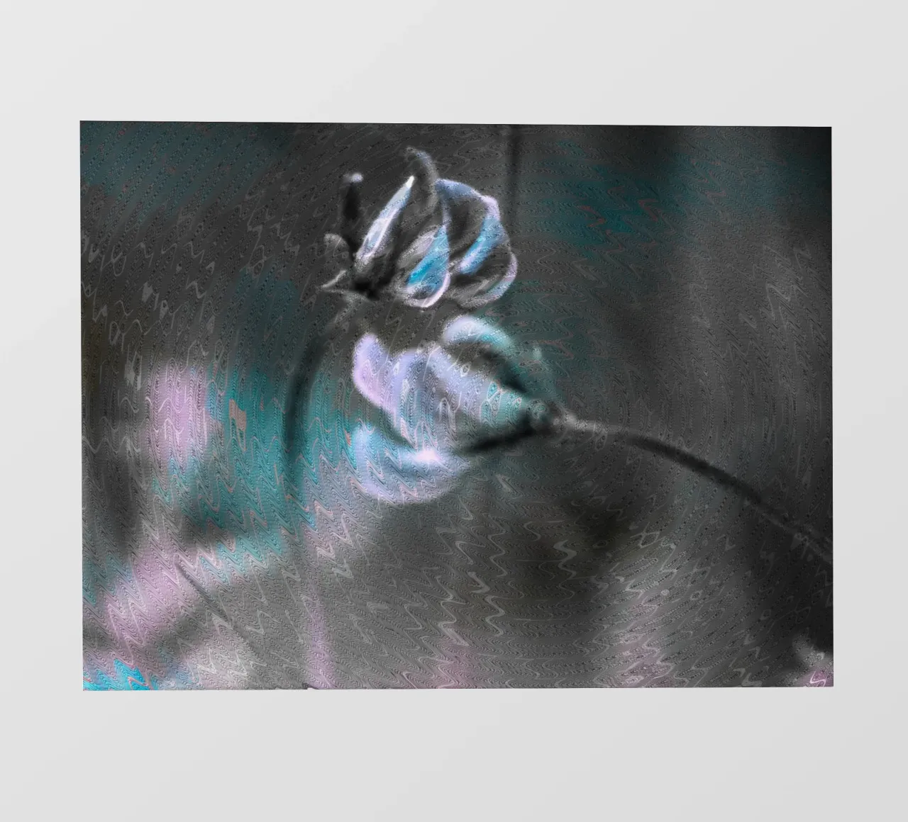 Due fiori davanti a uno sfondo artistico pellicola backlit da Something for you