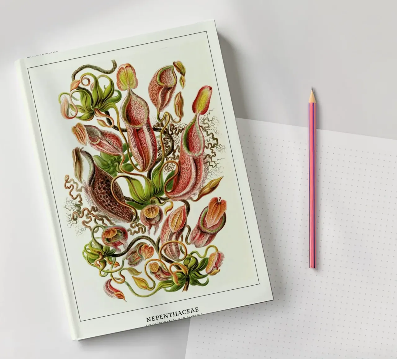 Haeckel - Nepenthaceae notebook by ARTOTHEK