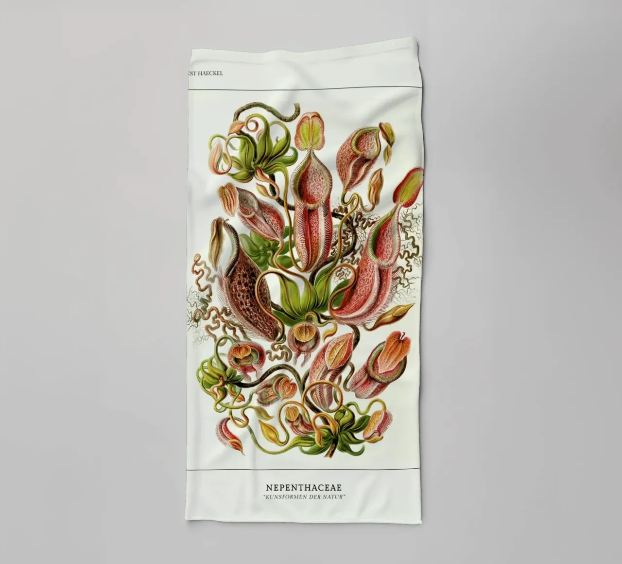 Haeckel - Nepenthaceae asciugamano da bagno da ARTOTHEK
