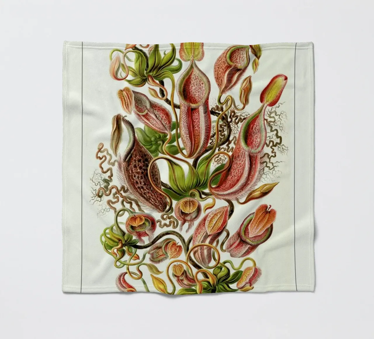 Haeckel - Nepenthaceae coperta in pile da ARTOTHEK