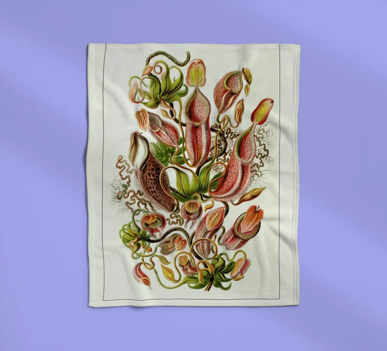 Haeckel - Nepenthaceae coperta in pile da ARTOTHEK