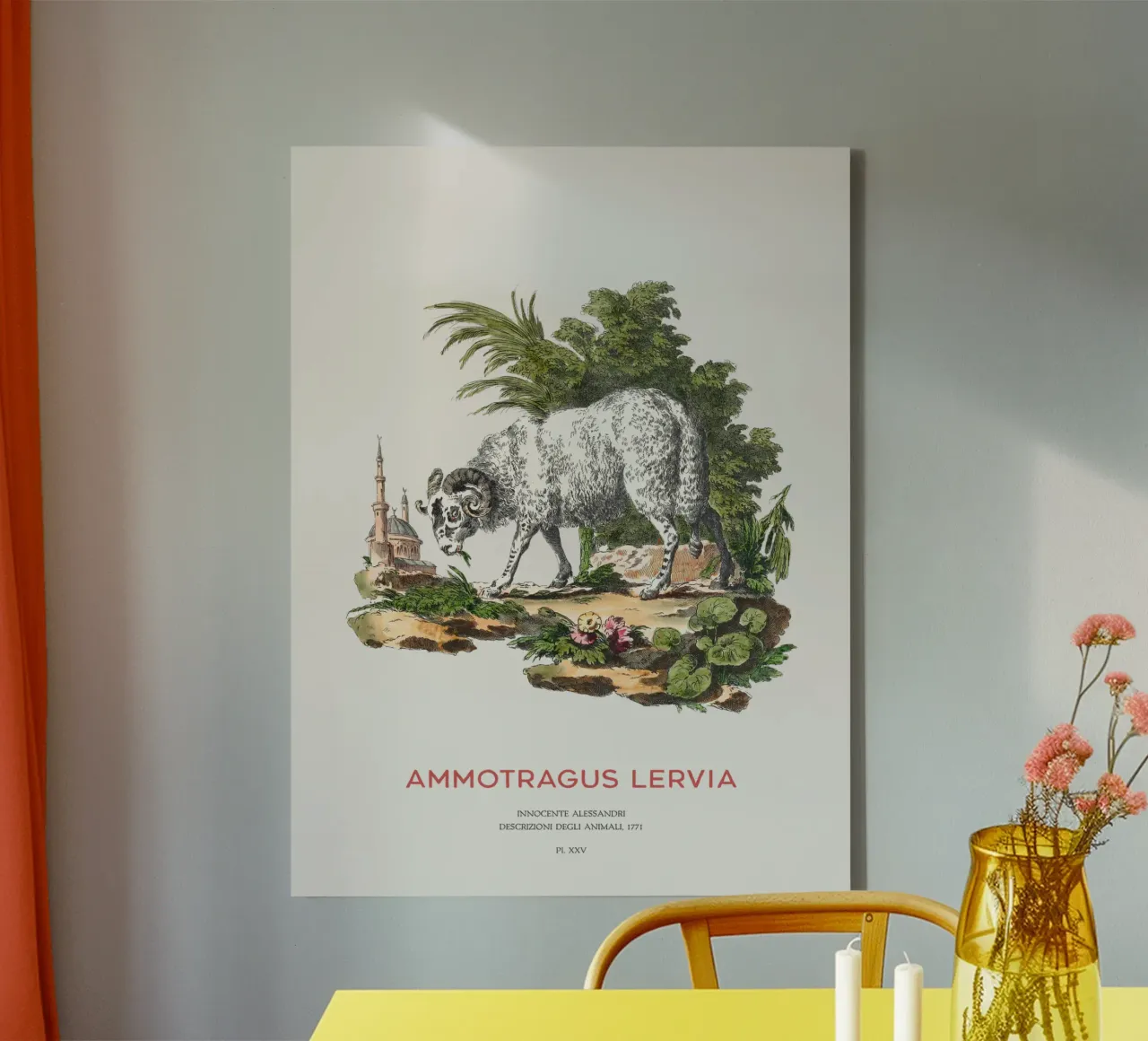 Das Berberschaf oder Ammotragus lervia Leinwand mit Schattenfugenrahmen von Vintagrafica