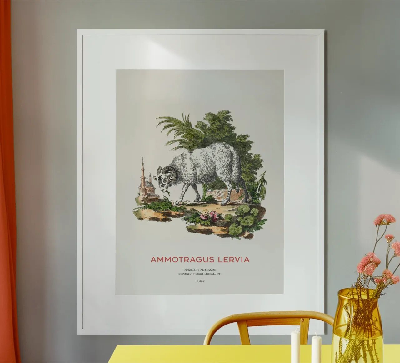 Das Berberschaf oder Ammotragus lervia Poster mit Holzrahmen von Vintagrafica