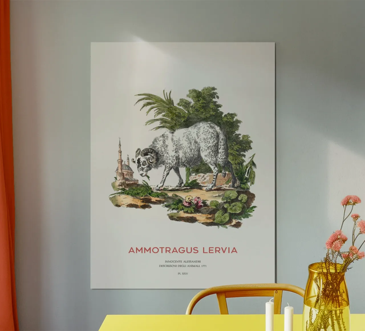 Das Berberschaf oder Ammotragus lervia Poster mit Holzrahmen von Vintagrafica