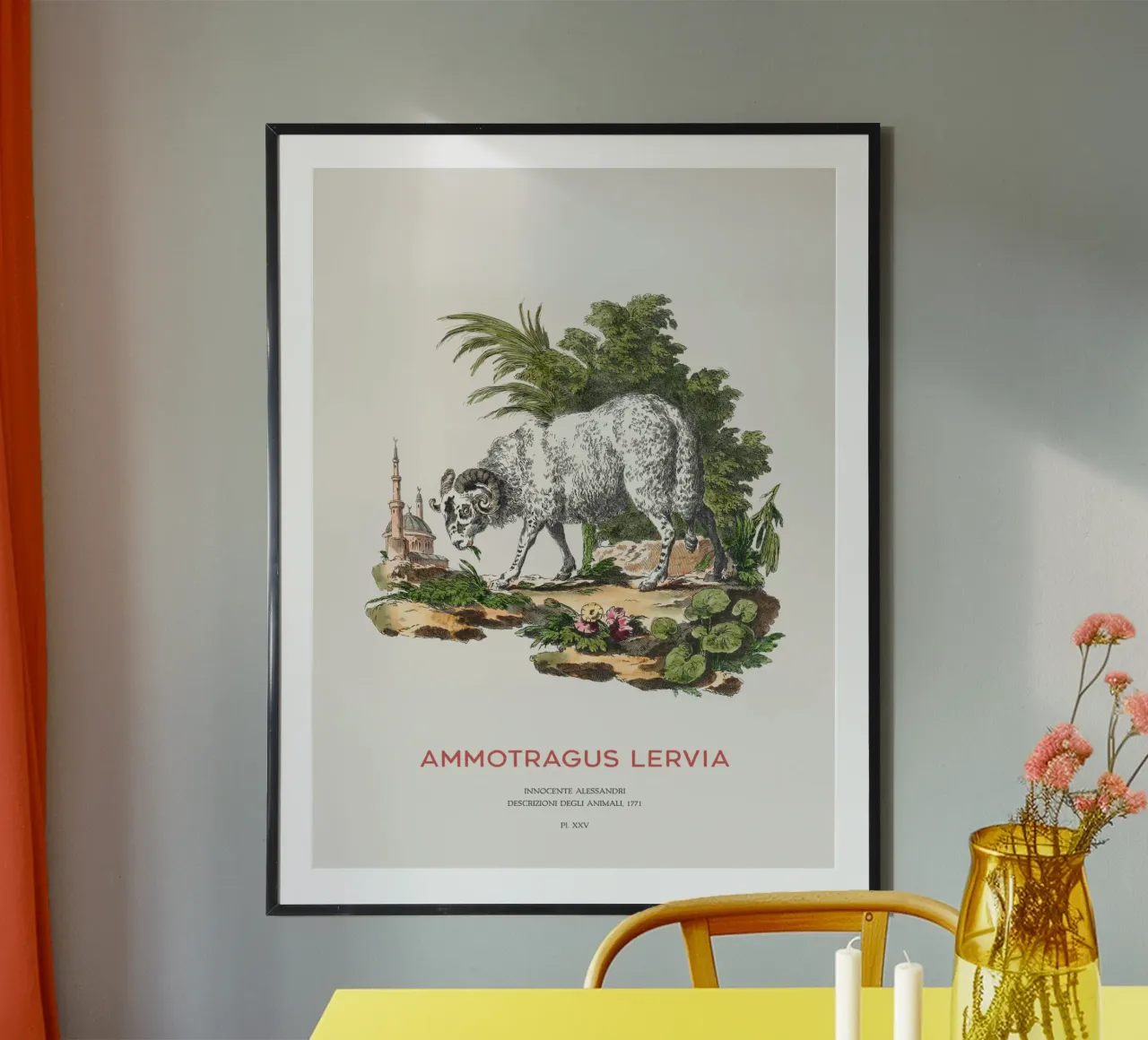 Das Berberschaf oder Ammotragus lervia Poster mit Holzrahmen von Vintagrafica