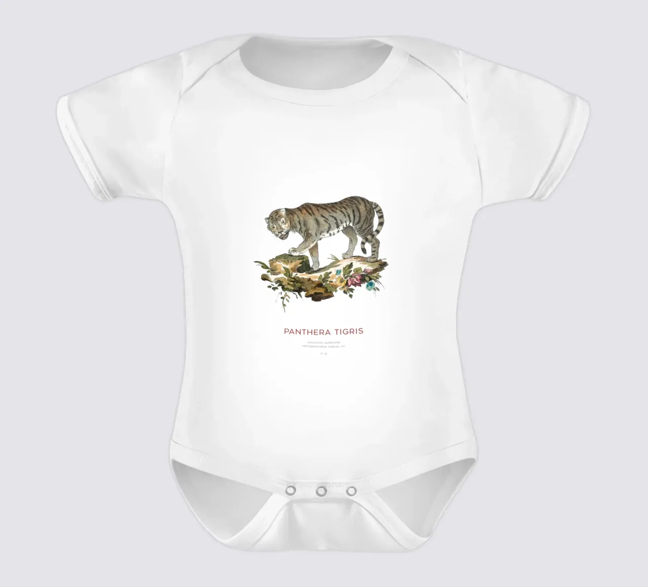 Der Tiger oder Panthera tigris Kurzarm Babybody von Vintagrafica