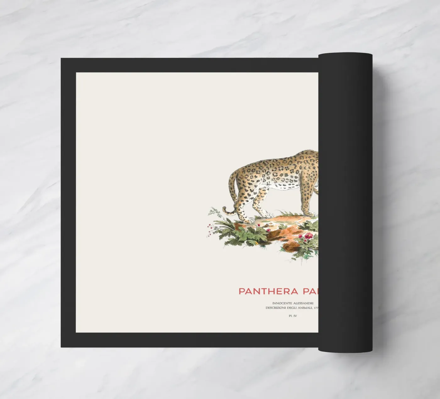 The leopard or Panthera pardus paillasson de Vintagrafica