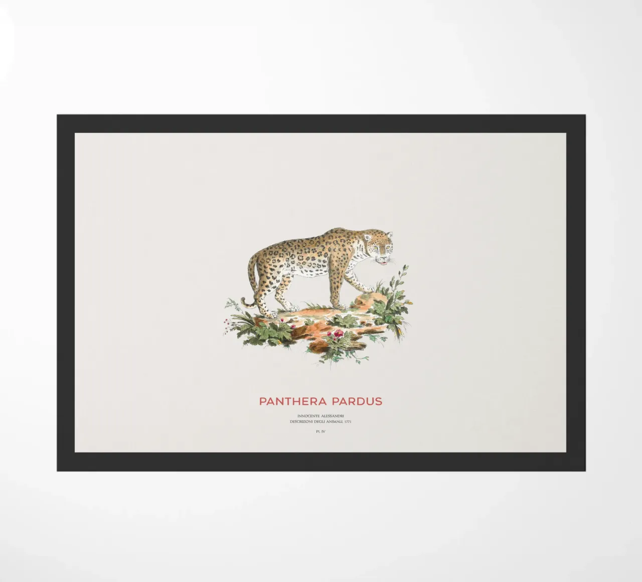 Der Leopard oder Panthera pardus Fußmatte von Vintagrafica