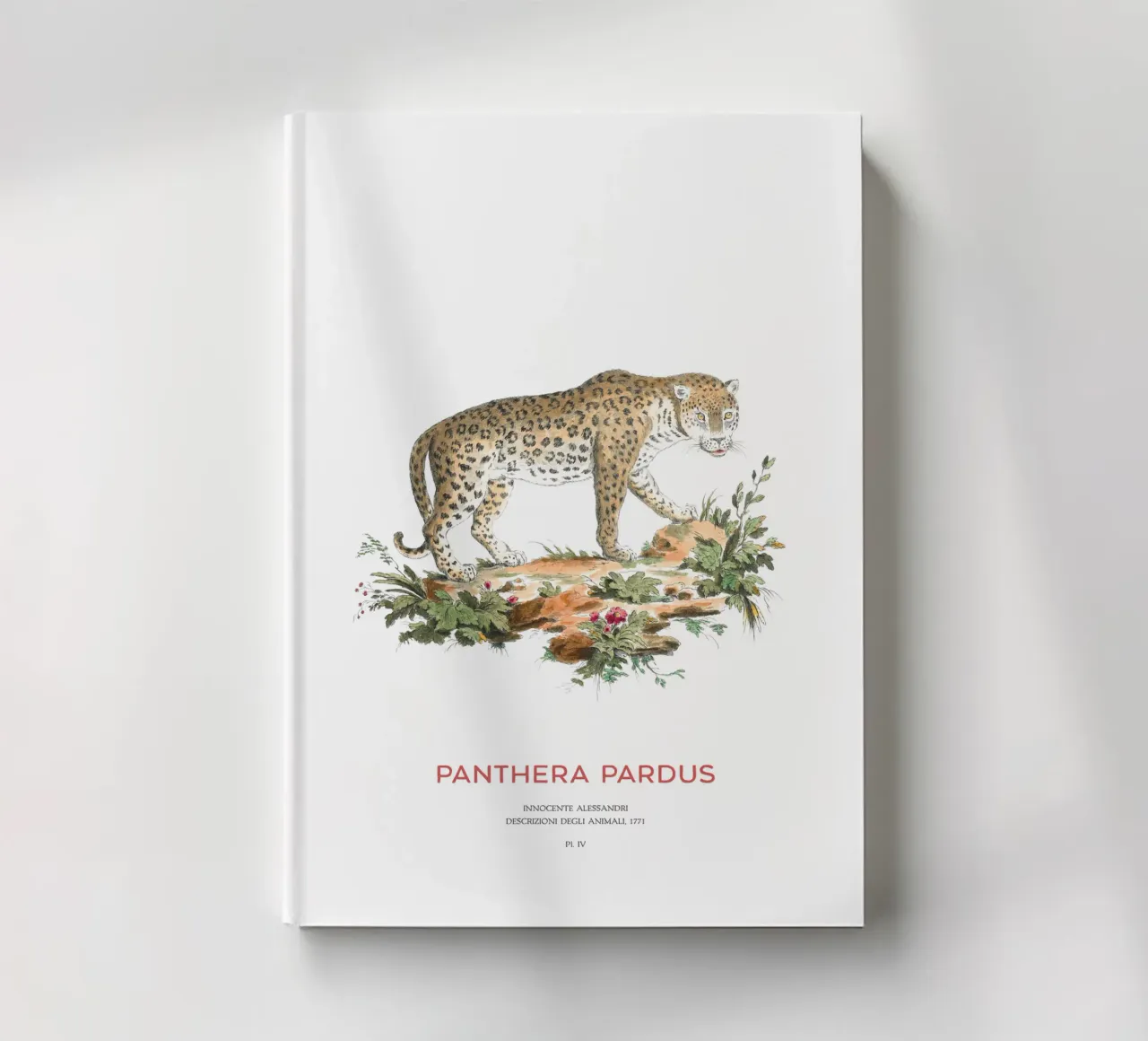 The leopard or Panthera pardus notebook by Vintagrafica