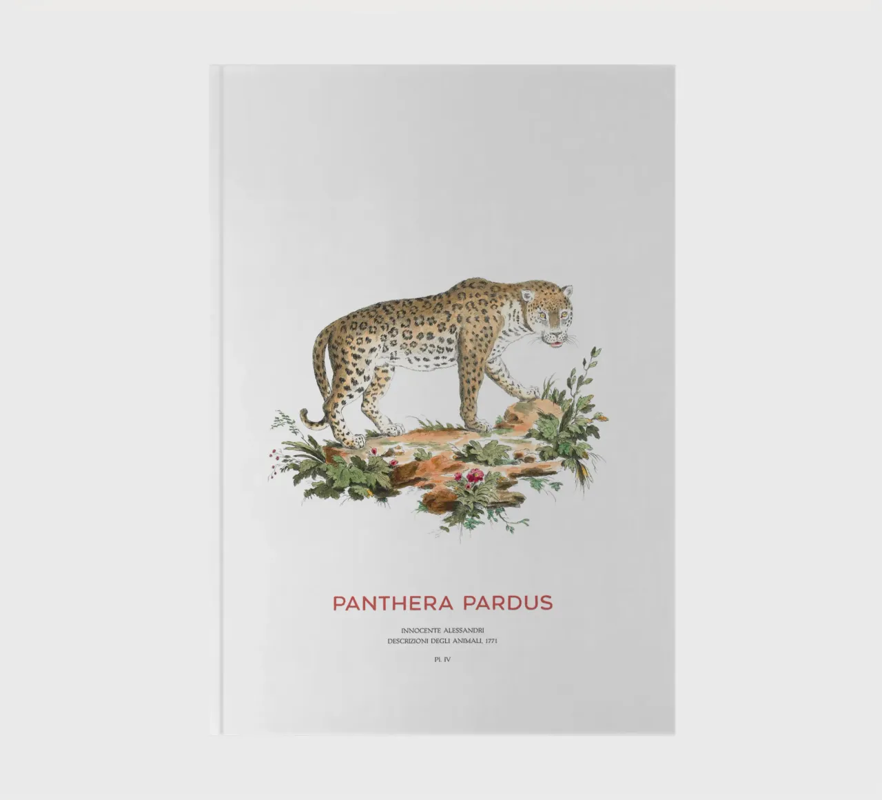 The leopard or Panthera pardus notebook by Vintagrafica