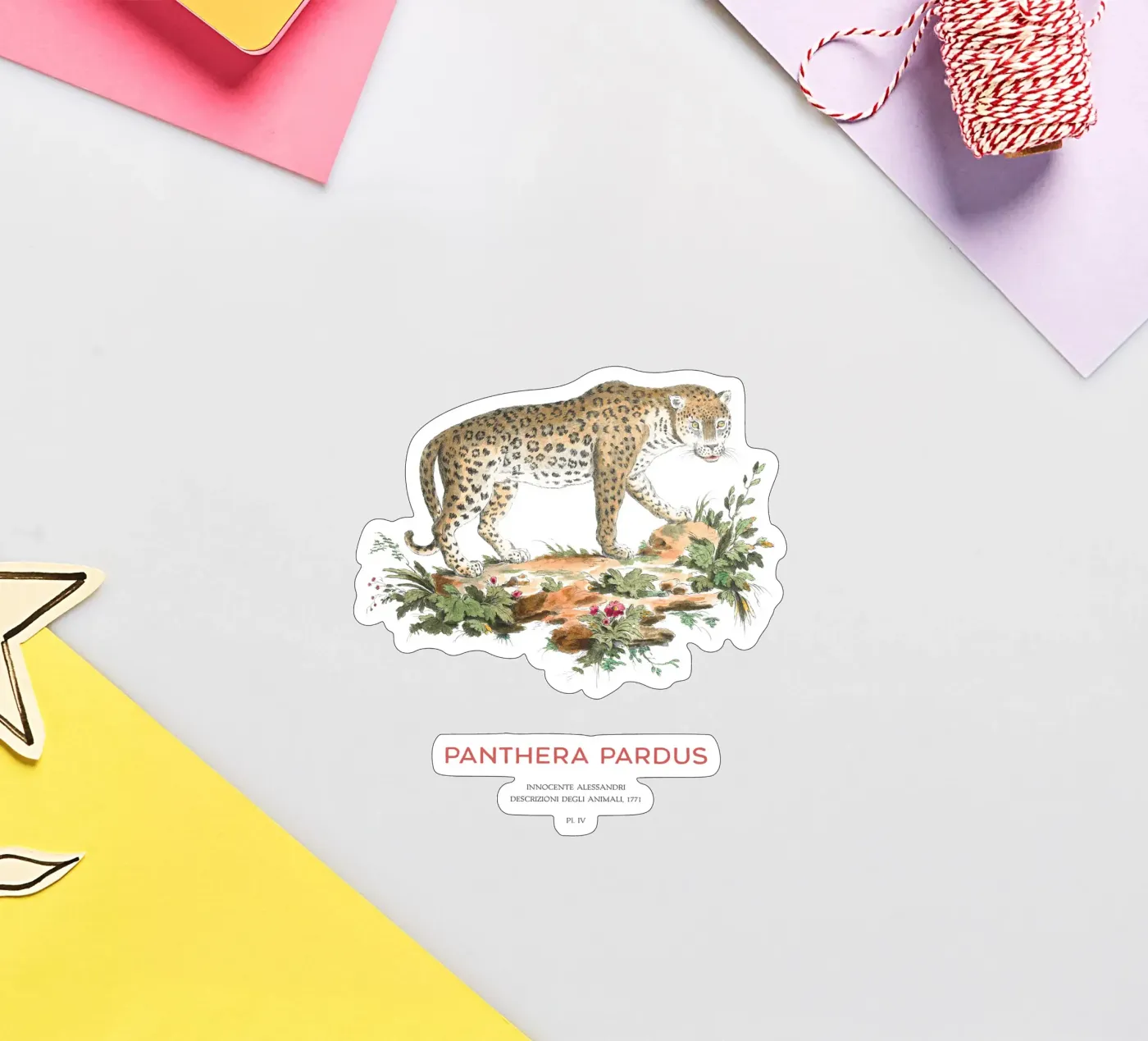 The leopard or Panthera pardus Sticker von Vintagrafica