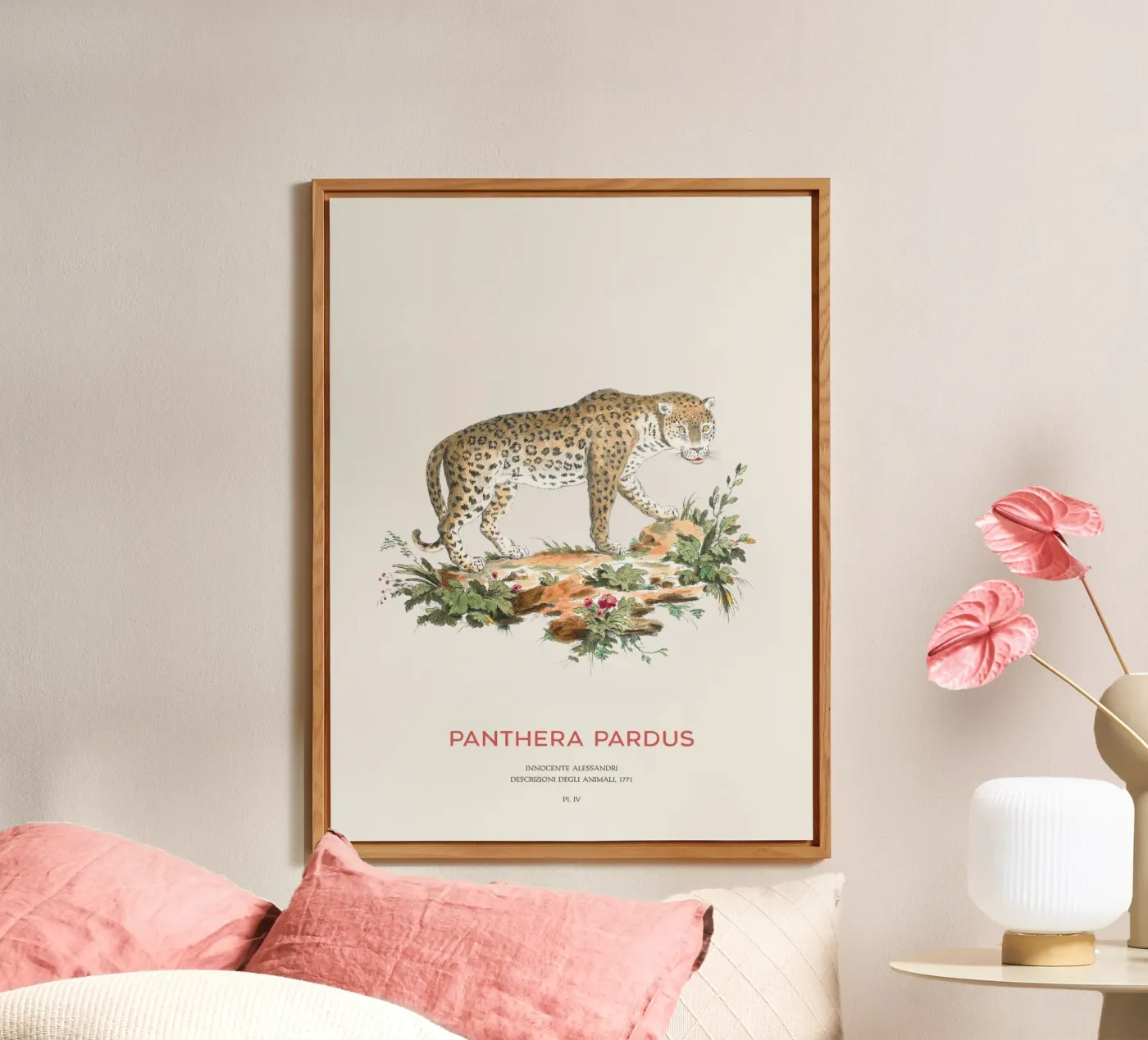 Der Leopard oder Panthera pardus Forex-Platte von Vintagrafica
