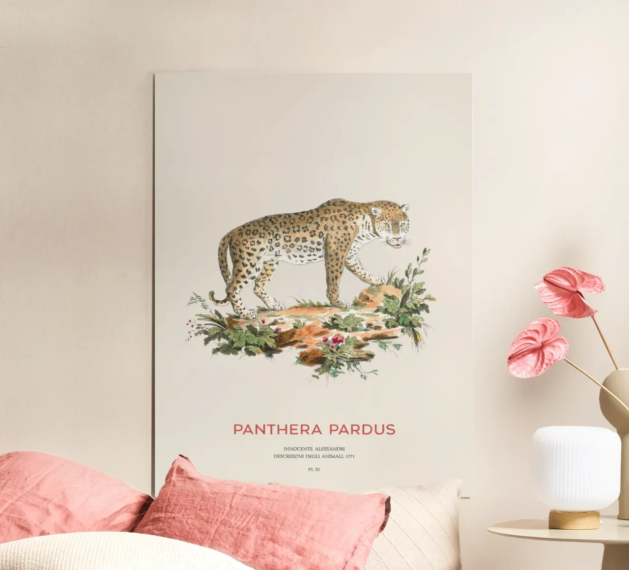 Der Leopard oder Panthera pardus Poster von Vintagrafica
