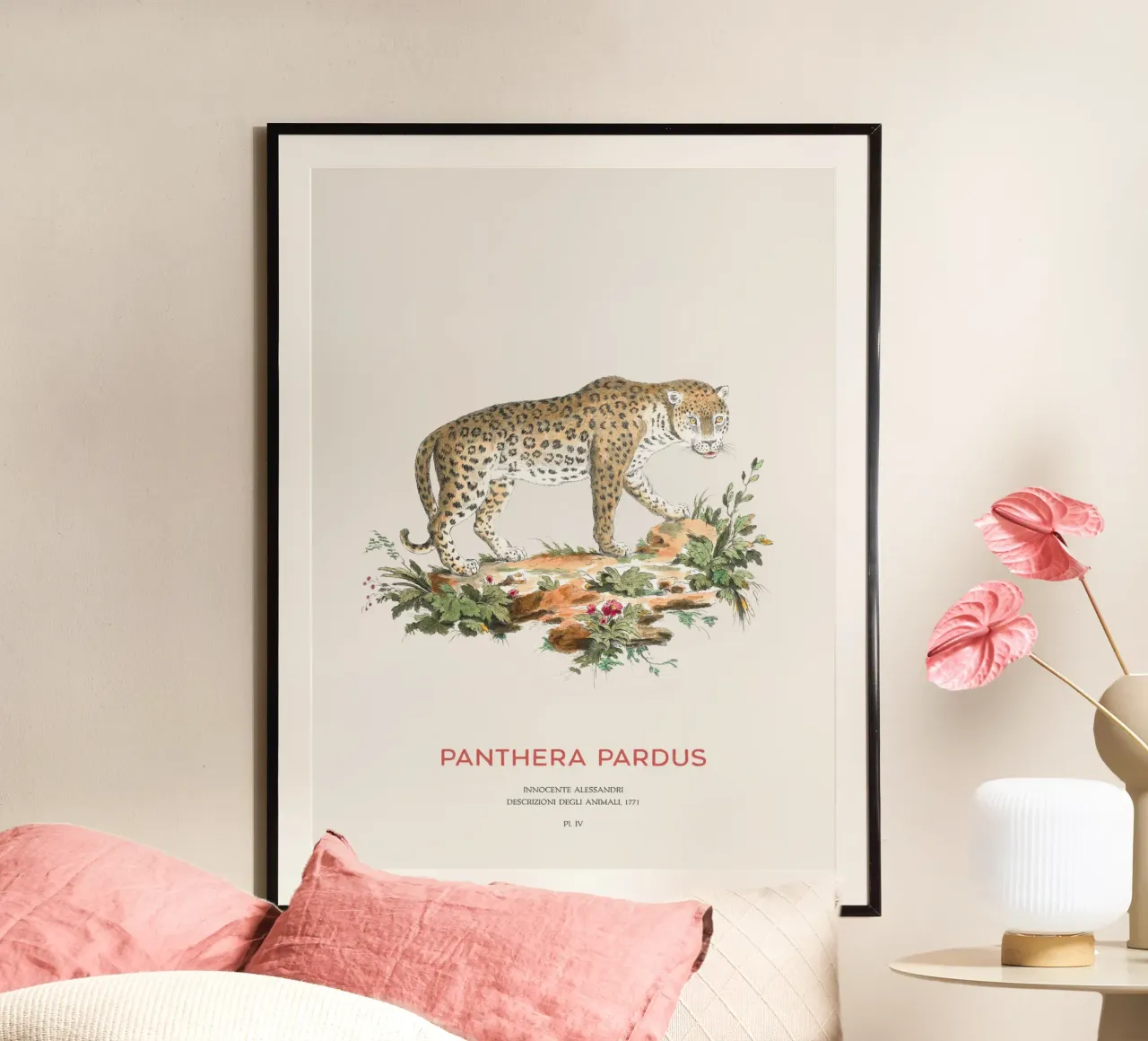 Der Leopard oder Panthera pardus Poster von Vintagrafica