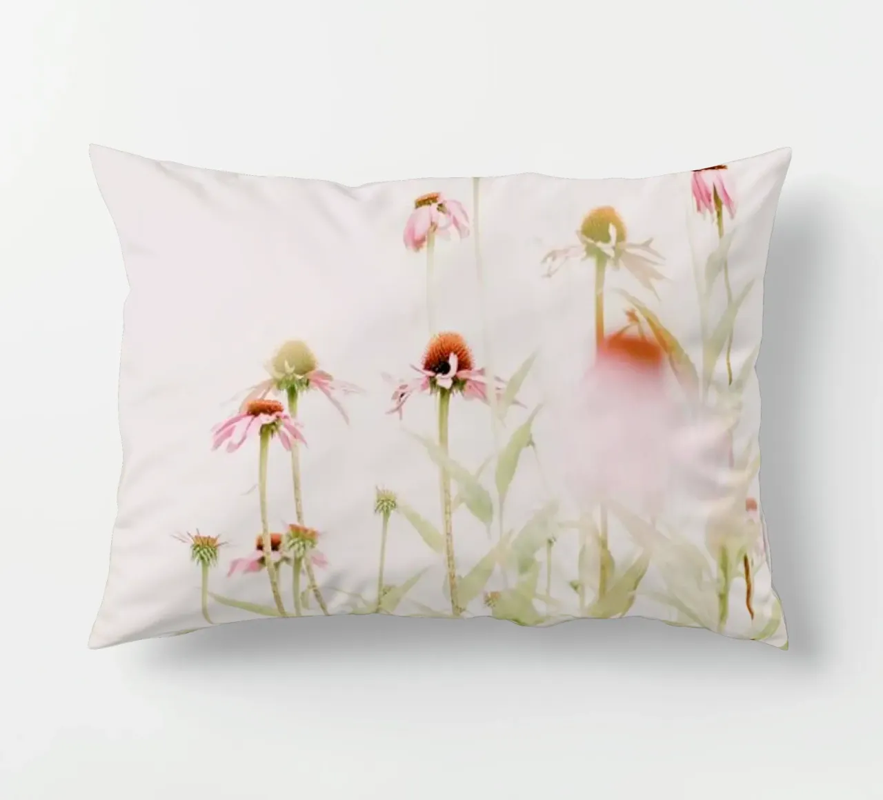 Fiori rosa pastello Echinacea cuscino da Ingrid Beddoes