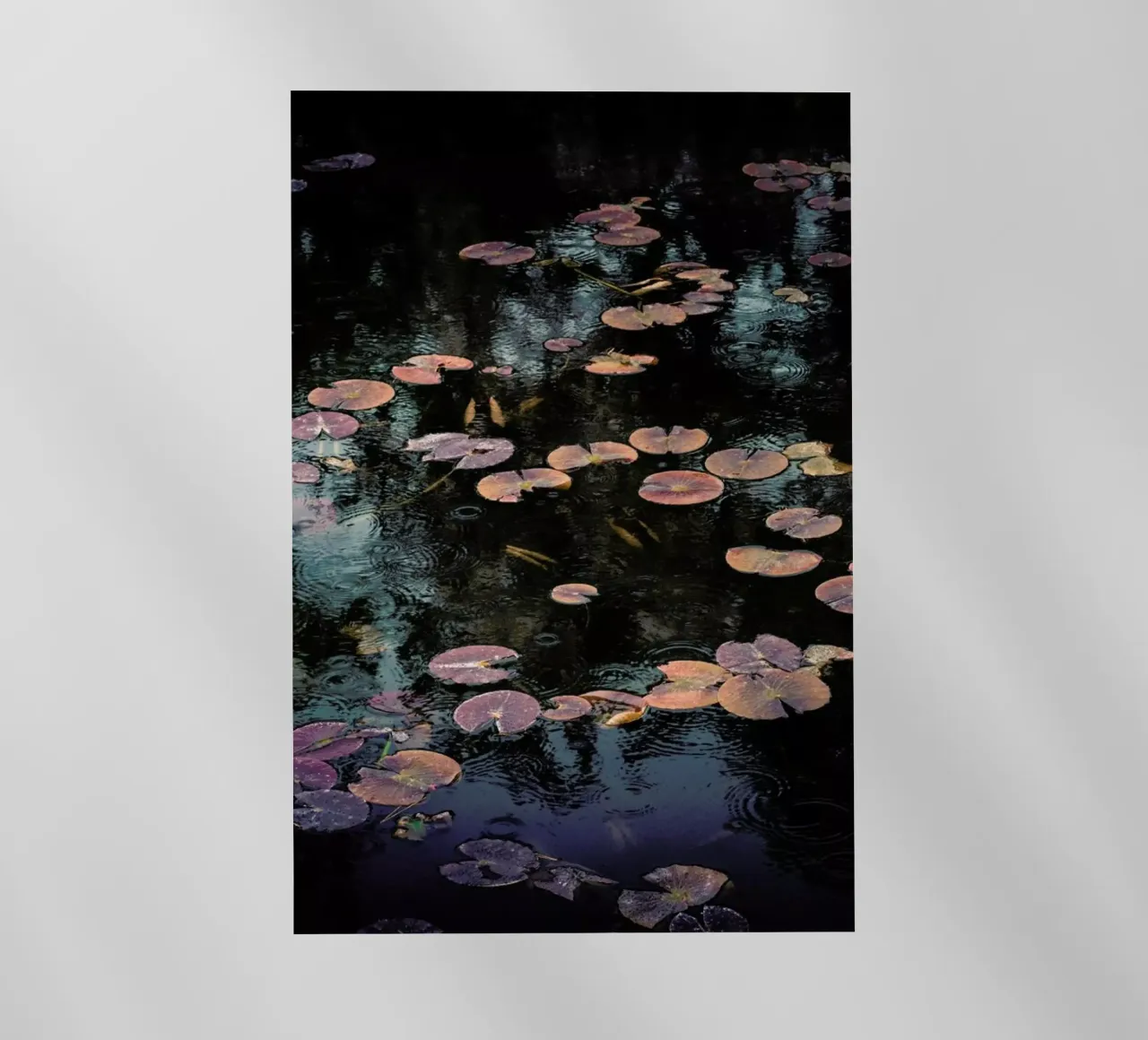 Raindrops on Lilies @Syuji_Tanaka pellicola backlit da EyeEm Mobile GmbH