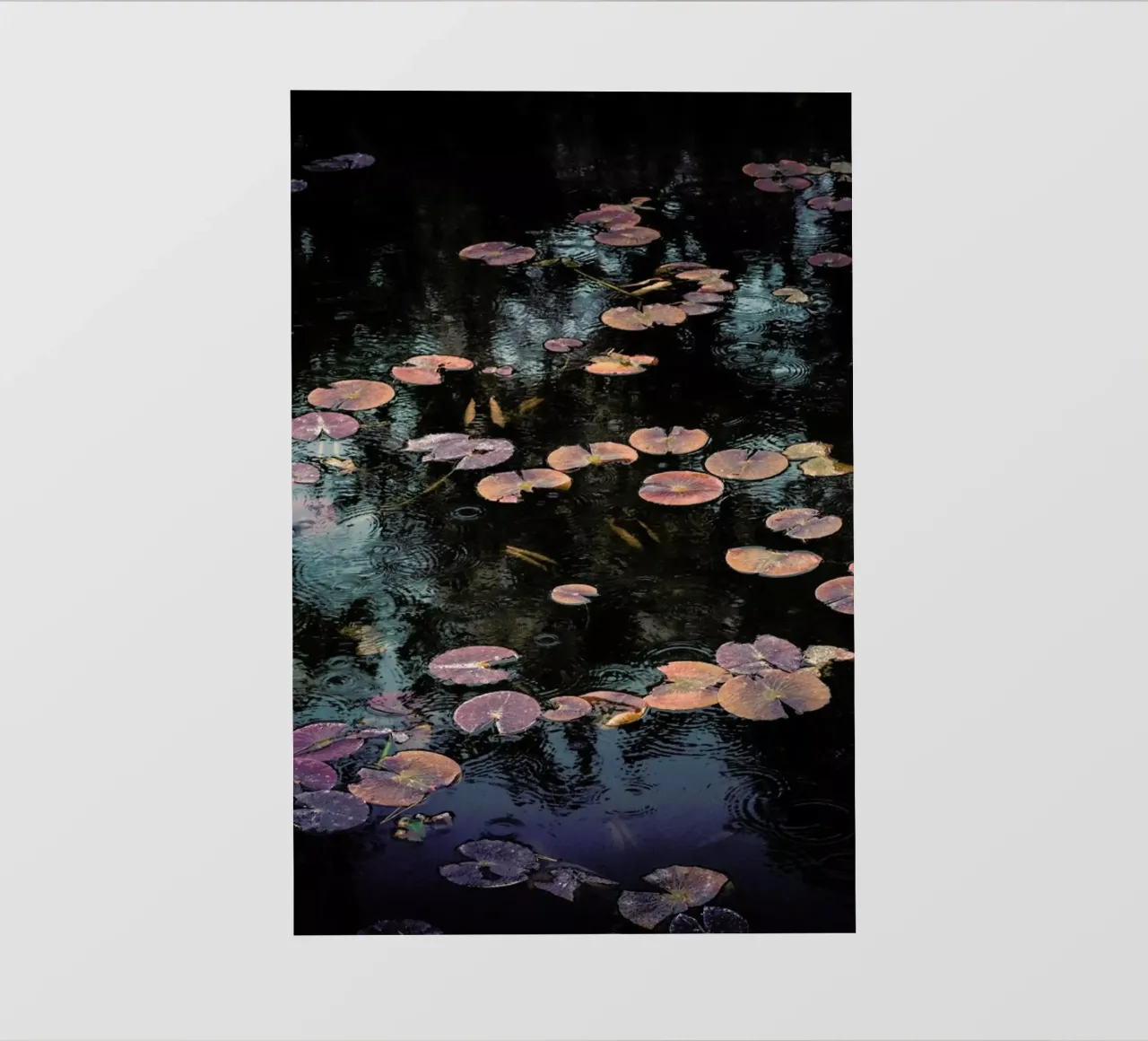 Raindrops on Lilies @Syuji_Tanaka pellicola backlit da EyeEm Mobile GmbH