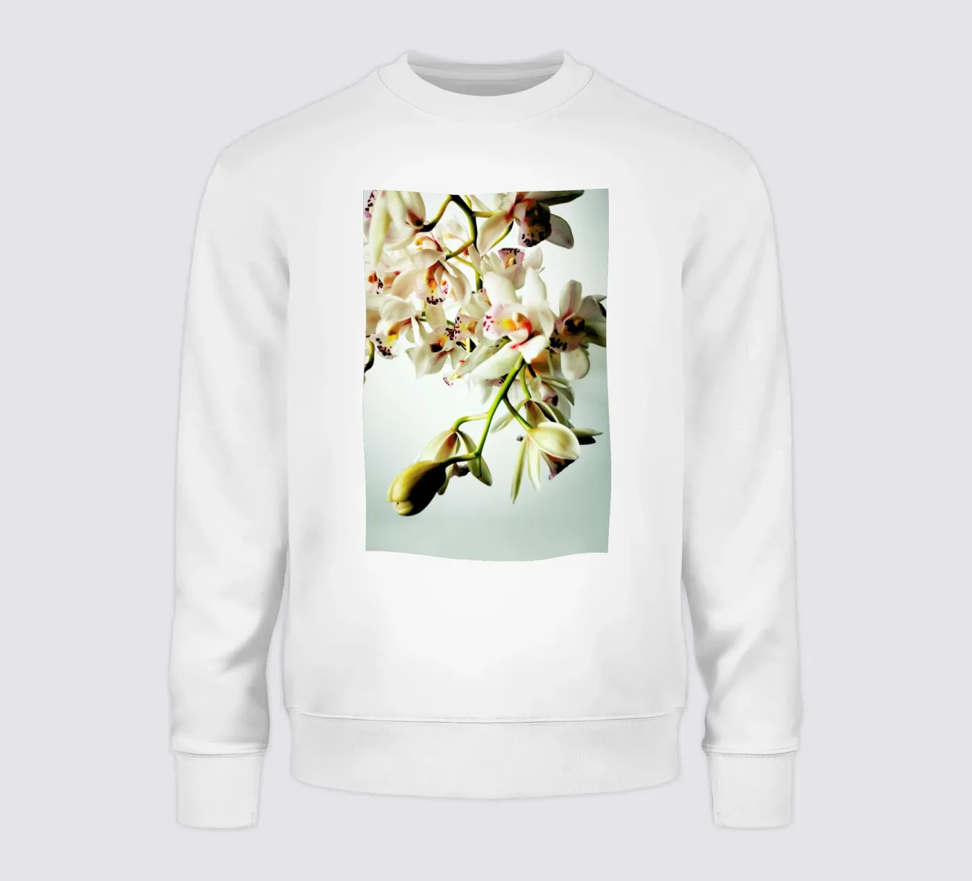Tiny Orchids sweatshirt by Angelo Cerantola