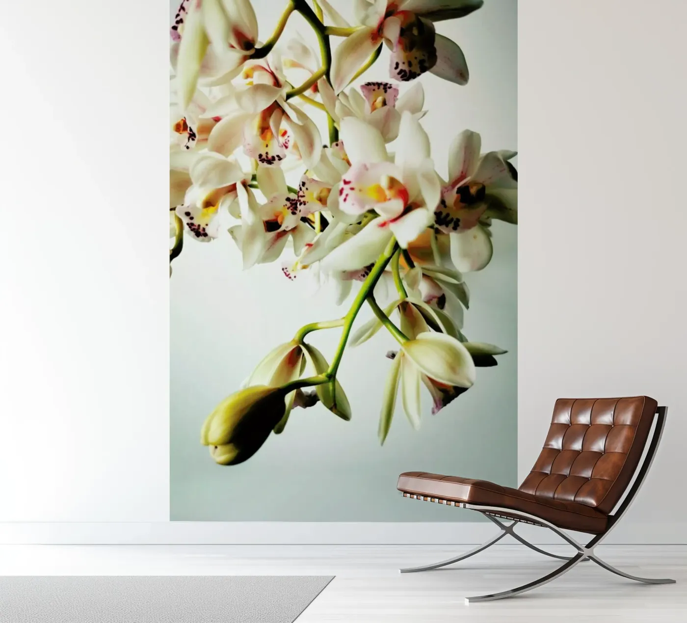 Tiny Orchids papier peint photo de Angelo Cerantola