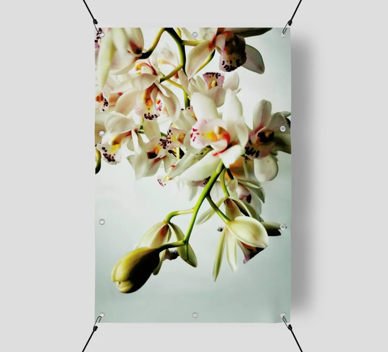 Tiny Orchids telo in pvc da Angelo Cerantola