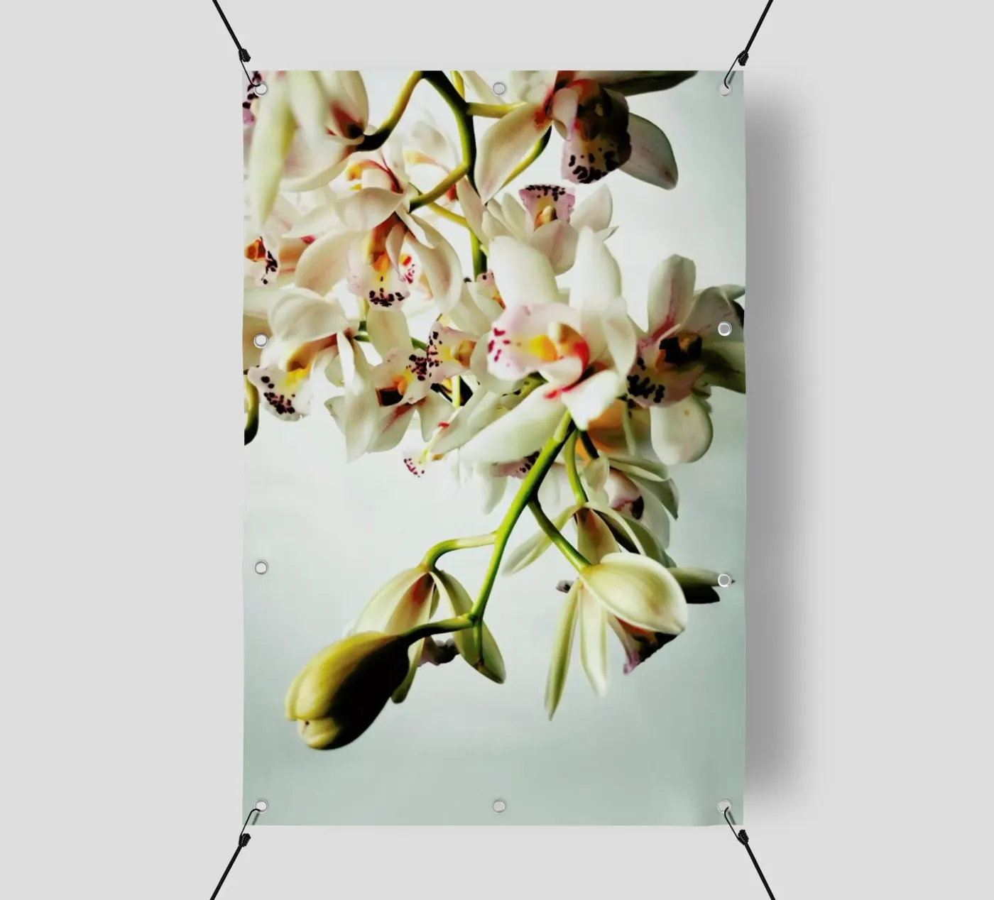 Tiny Orchids pvc cover by Angelo Cerantola