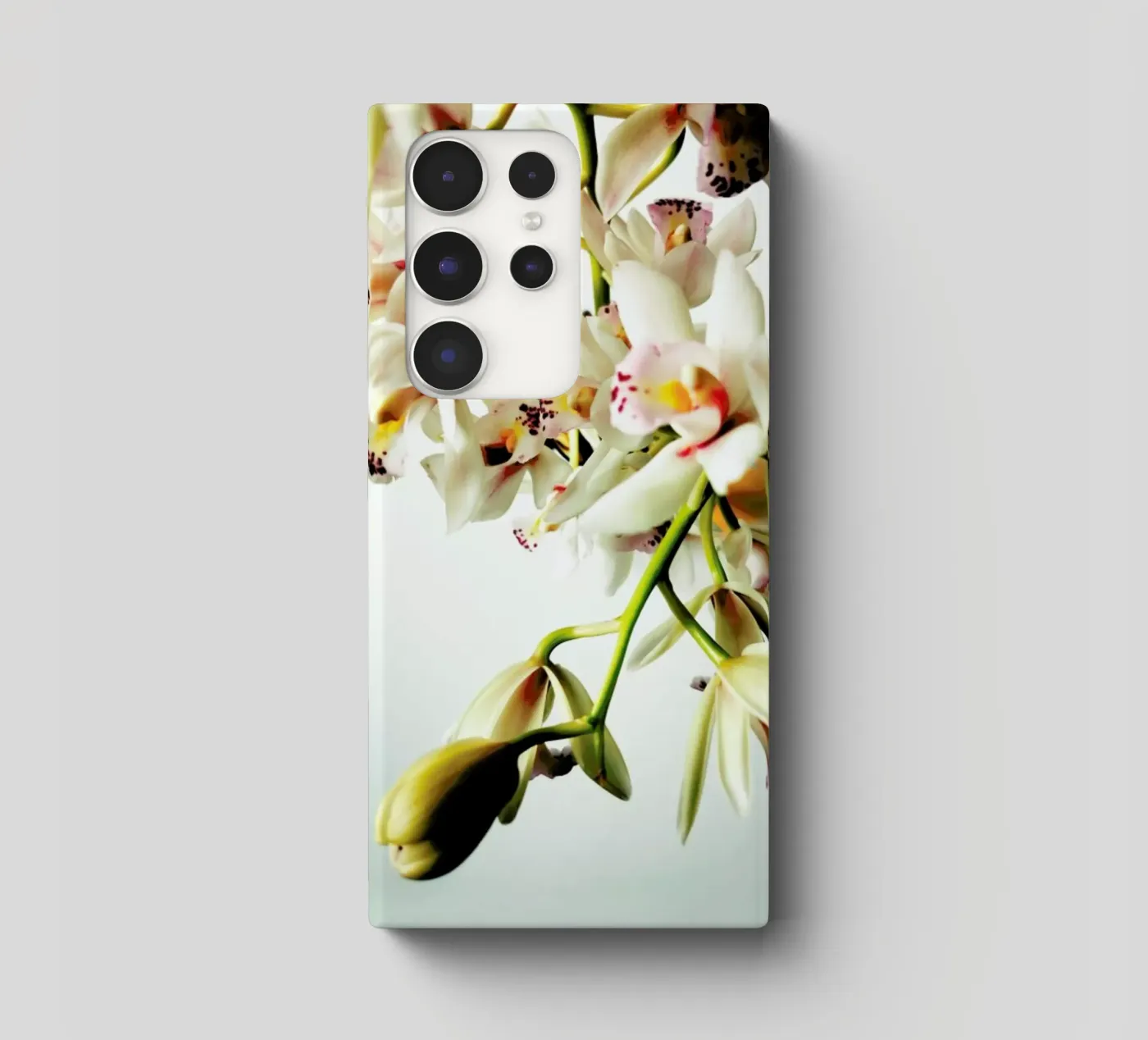 Tiny Orchids cover samsung da Angelo Cerantola