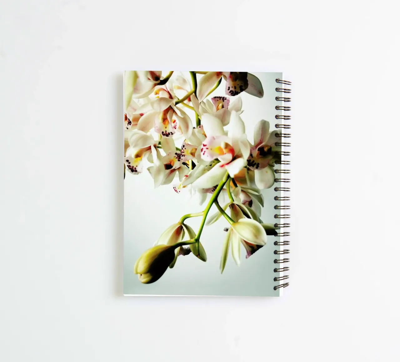 Tiny Orchids spiral notebook by Angelo Cerantola
