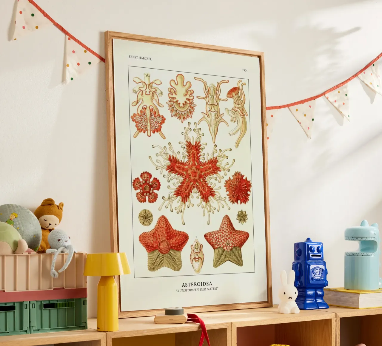 Haeckel - Asteroidea plexiglass da ARTOTHEK