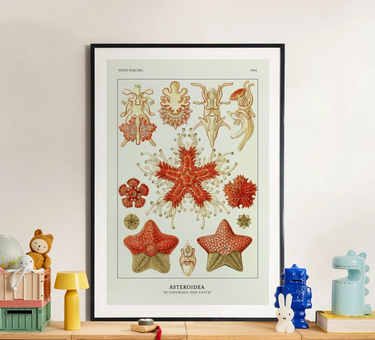Haeckel - Asteroidea poster de ARTOTHEK