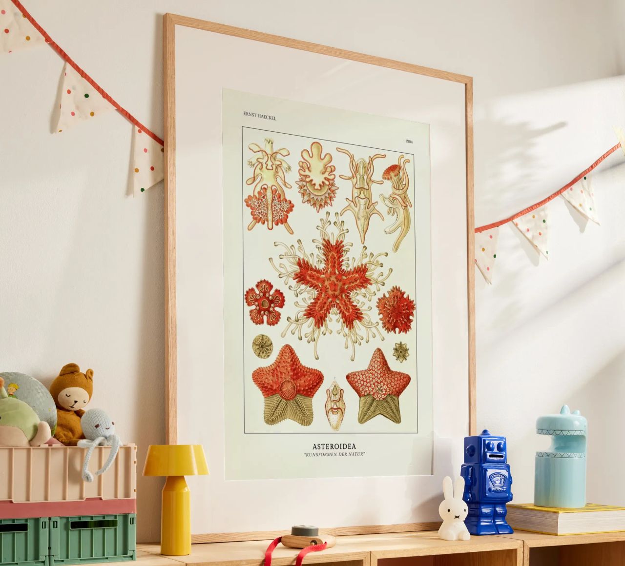 Haeckel - Asteroidea poster de ARTOTHEK