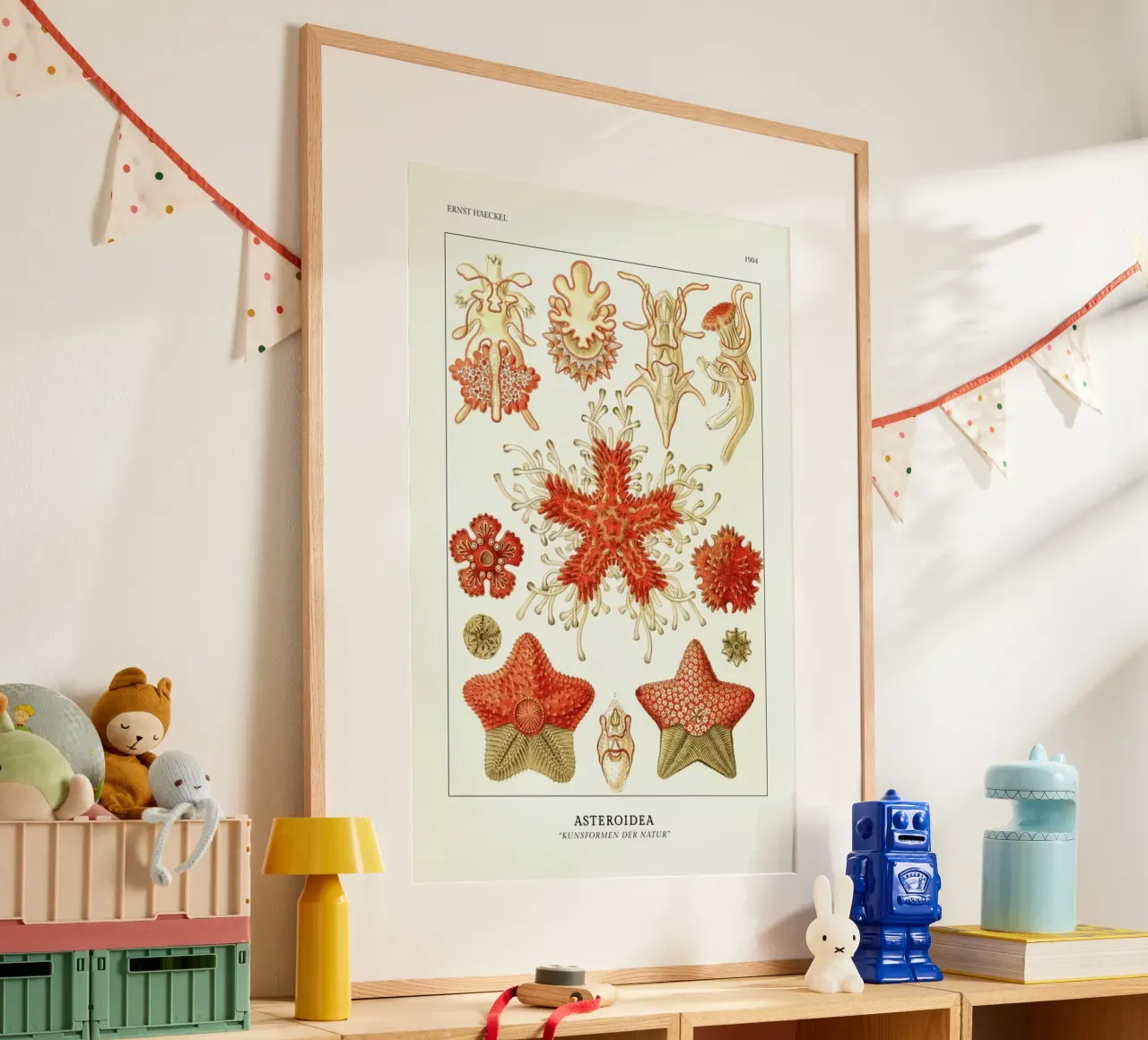 Haeckel - Asteroidea poster con telaio in legno da ARTOTHEK