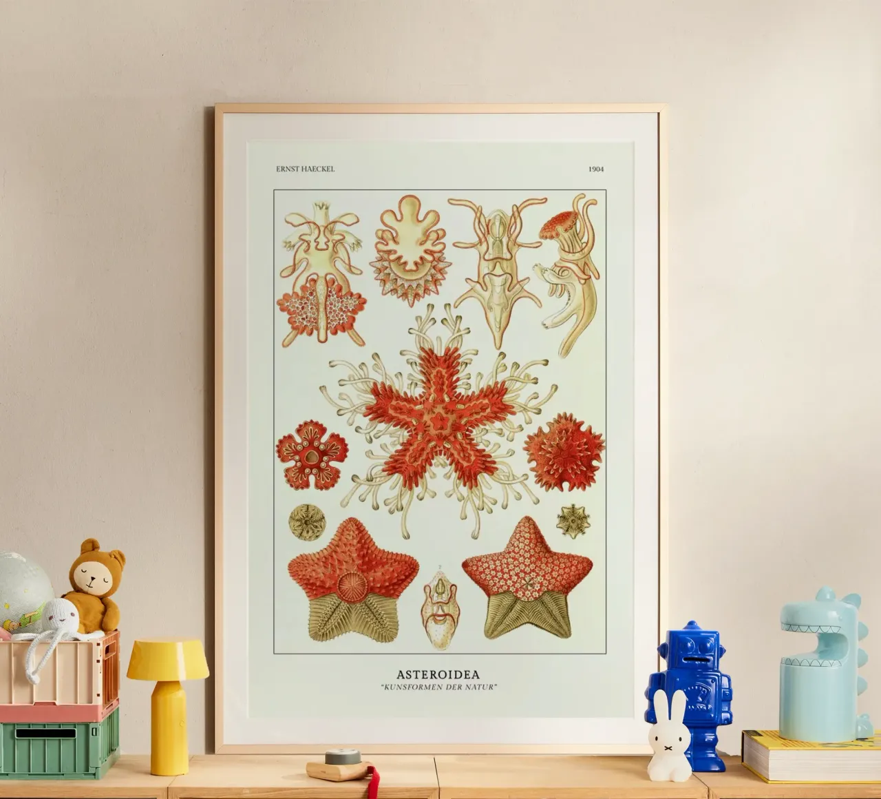 Haeckel - Asteroidea poster con telaio in legno da ARTOTHEK